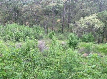 terreno · Terreno en Venta en Tapalpa Country Club 4p