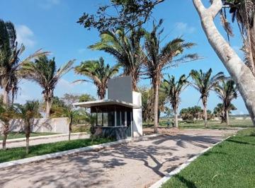 Terreno / Lote , Medellín · Terrenos Campestres en Venta “puerta del Sol” Boca del Río - Paso del Toro