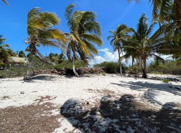Terreno / Lote en Venta  Pueblo Mina de Oro · Terreno Al Pie de Playa, Excelente Oportunidad de Inversión