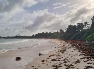 Terreno / Lote , Tulum · Venta Terreno en La Reserva de La Biosfera de Sian Ka´an Tulum