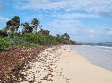 Terreno / Lote , Tulum · Venta Terreno en El Paraíso de La Reserva de La Biosfera de Sian Ka´an Tulum