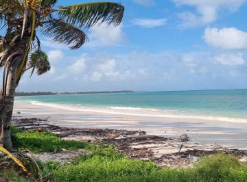 Terreno / Lote , Tulum · Venta Terreno en El Paraíso de La Reserva de La Biosfera de Sian Ka´an Tulum