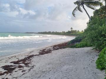 Terreno / Lote , Tulum · Venta Terreno en La Reserva de La Biosfera de Sian Ka´an Tulum
