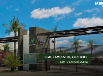 Terreno / Lote , Villahermosa · Lote Residencial en Pre - Venta en Real Campestre C5 Lt 50 F - 737