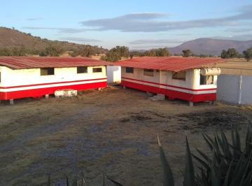 Rancho , Tolcayuca · Rancho - Terreno en Venta Hidalgo Tolcayuca Cerca de Aifa, Inversionistas