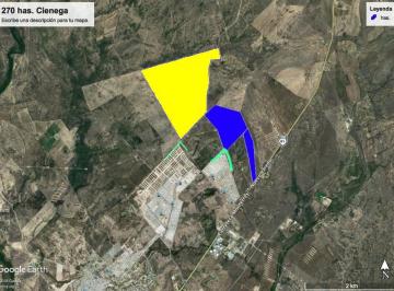 Terreno industrial · 2000000m² · Terreno en Venta Industrial Habitacional en Ciénega de Flores