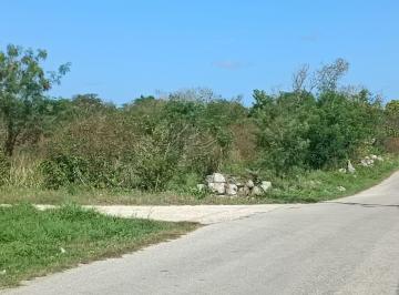 Terreno / Lote · 3000m² · Terreno en Venta en Chicxulub Pueblo