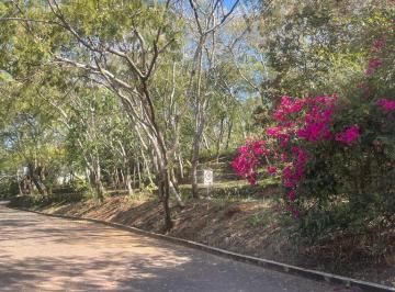 Terreno / Lote · 500m² · Terreno en Venta Lomas de Atzingo, Lomas de Atzingo, Cuernavaca