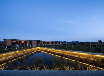 1506d783ad697f927f2384fea0b85b7108f96df8d1fbb6349a00b111b3671c81 · Hotel Boutique en Venta en Valle de Guadalupe con 5.25 Hectáreas de Terreno