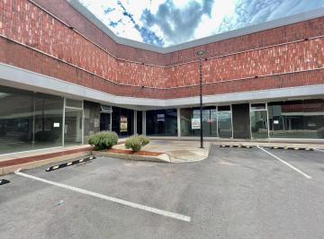 Local comercial · 292m² · 30 Estacionamientos · Local en Renta Plaza Fiesta en Obra Negra a Fiesta en Obra Negra