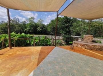 Hacienda en venta, Chunkanán, Yucatan IV · Hacienda en Venta, Chunkanán, Yucatan IV