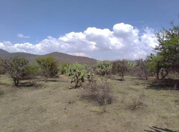 Terreno / Lote , Tepetlaoxtoc · Terreno Tepetlaoxtoc Pueblo Mágico 8,200 m² 1'800,000