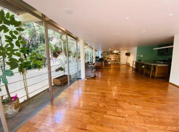 Departamento de 2 habitaciones, Cuauhtémoc · Precioso Depto con Vistas Arboladas Sobre Ámsterdam
