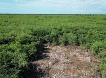 Terreno / Lote · 500m² · Terrenos de Inversión en Yaxkukul