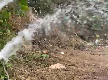 Rancho , Zapopan · Terreno o Granja 10 Has Las Mesitas Sta Lucia