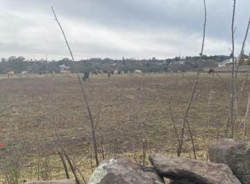 Terreno / Lote · 20000m² · Terreno en Venta en San Miguel de La Victoria, Jilotepec, Estado de México