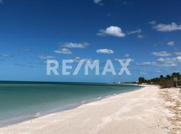 Terreno / Lote · 280m² · Venta Terreno Celestún Frente Al Mar 8x35 m en Yucatán, México. - (4)