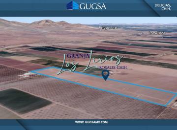 Terreno / Lote · 2500m² · Lotes en Venta Granja Los Lirios