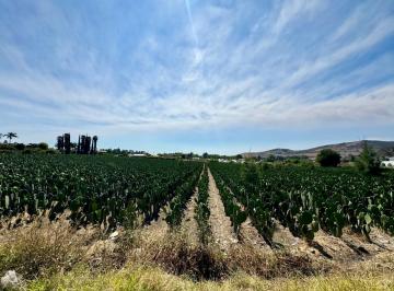 Terreno / Lote , Atlixco · Terreno en Venta Cerca de La Carretera Federal Puebla - Atlixco en Atlixco