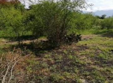 Terreno / Lote , Montemorelos · Terreno Campestre en Venta en Montemorelos Nl.