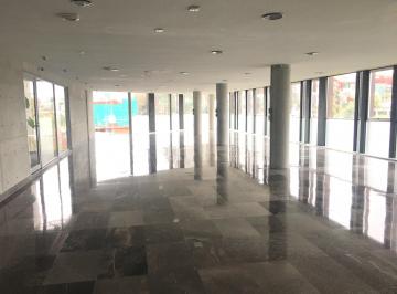 Oficina de 1 habitación, Xalapa · Oficina/ Local en Renta 186.5 m Av Orizaba Fracc Veracruz en Xalapa Veracruz
