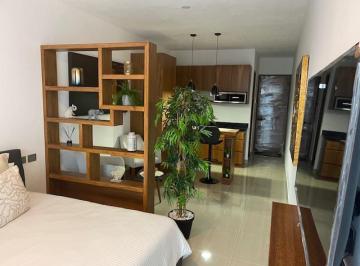 Departamento · 36m² · 1 Recámara · El Mejor Precio Departamento en El Centro de Playa del Carmen