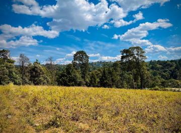 Terreno / Lote , Valle de Bravo · Terreno en Venta en La Zona San Simón El Alto en Valle de Bravo