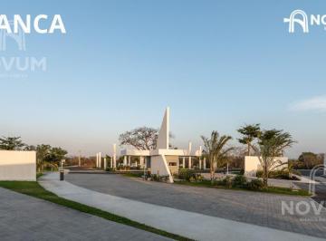 Terreno / Lote · 420m² · Lote Residencial en Venta en Mérida Yucatán