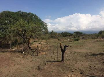 Terreno / Lote · 22500m² · Terreno Urbano en Tlayacapan Tlayacapan - Ari - 977 - Tu