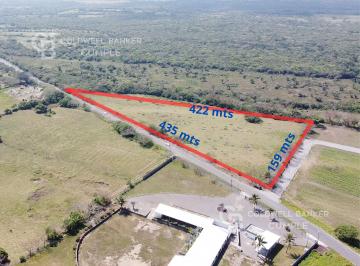 Terreno / Lote , Alvarado · Terreno en Venta a Pie de Carretera Anton Lizardo - La Piedra.