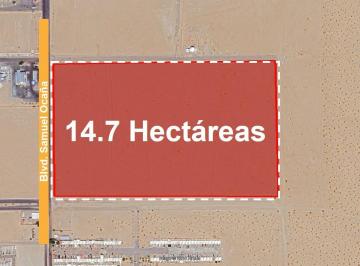 Terreno industrial , San Luis Río Colorado · Terreno Industrial en Venta a 800 m de Garita San Luis