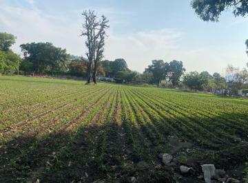 Terreno comercial , Yautepec · Yautepec Morelos Renta Todo o en Partes Terreno Plano de 7668 m² a $23 por Metro