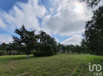 Terreno / Lote · 40m² · Terreno en Venta en El Ejido Santa Ana, Manlio Favio Altamirano, Veracruz