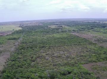 Terreno / Lote · 199817m² · Rancho en Venta Los Negritos, Tlalixcoyan - Veracruz