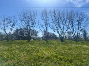 Terreno / Lote , Ramos Arizpe · Terreno en Renta en Ramos Arizpe