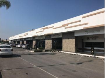 Local comercial · 88m² · Local en Renta Irapuato, Plaza Sta. Maria Reyna