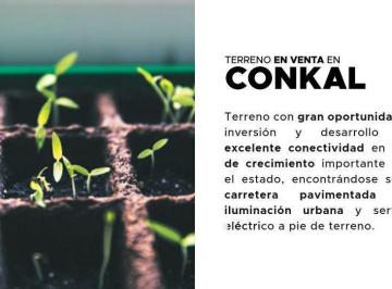 Terreno / Lote · 9711m² · Terreno en Venta Conkal