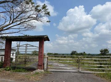 Rancho , Alvarado · Rancho Ganadero en Venta