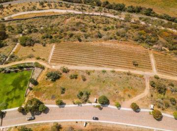 Terreno / Lote , Comonfort · Terreno en Comonfort de 7055 m² en Venta