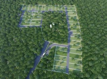 Terreno / Lote · 96000ha · Terreno en Venta en Valladolid Yuc. 9.6ha