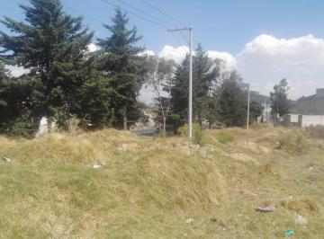 Terreno / Lote · 5000m² · Vendo Terreno en San Francisco Tlalcilalcalpan. Zinacantepec. Estado de Mexico.
