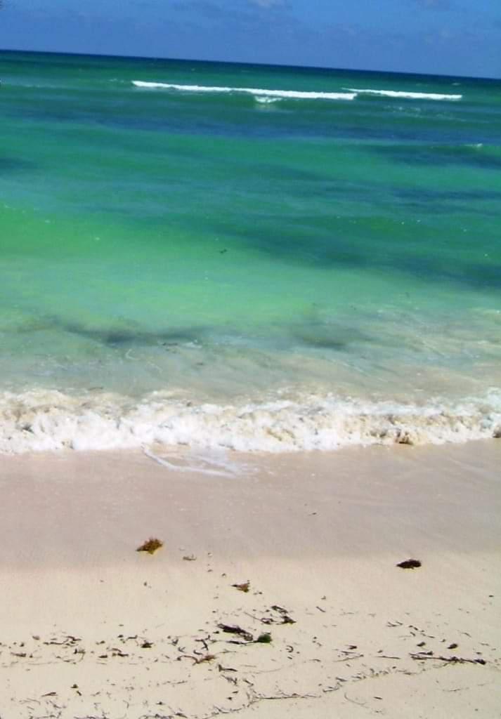 Lot in Mahahual