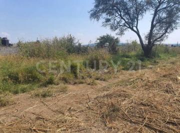 Terreno / Lote · 19500m² · Terreno en Venta