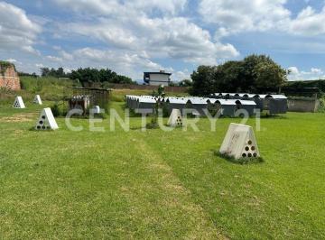Terreno / Lote · 5000m² · Se Vende Terreno de 5,000 m² en Valle de Los Olivos