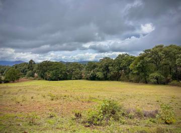 Terreno / Lote , Valle de Bravo · Terreno en Venta 1.5 Hectáreas en Valle de Bravo a Solo 2hrs de La Cdmx