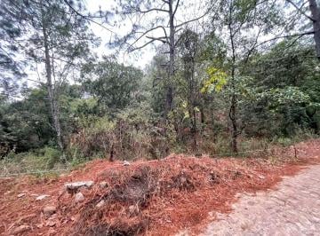 Terreno / Lote , Mazamitla · Terreno en Venta en Mazamitla en Fraccionamiento La Toscana Country Club