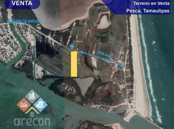 Terreno / Lote · 12544m² · Oportunidad de Inversión, Terreno en La Pesca, Tamps