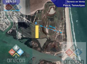 Terreno / Lote · 12544m² · Oportunidad de Inversión, Terreno en La Pesca, Tamps