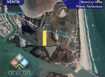 Terreno / Lote · 12544m² · Oportunidad de Inversión, Terreno en La Pesca, Tamps
