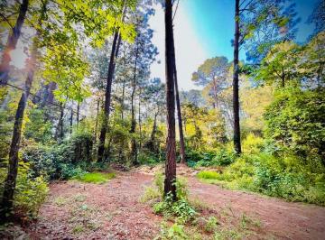 Terreno / Lote , Valle de Bravo · Terreno en Venta a 10 Minutos del Centro de Avándaro en Valle de Bravo